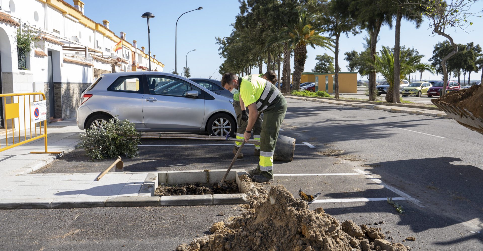 calle ruiz miguel arboles