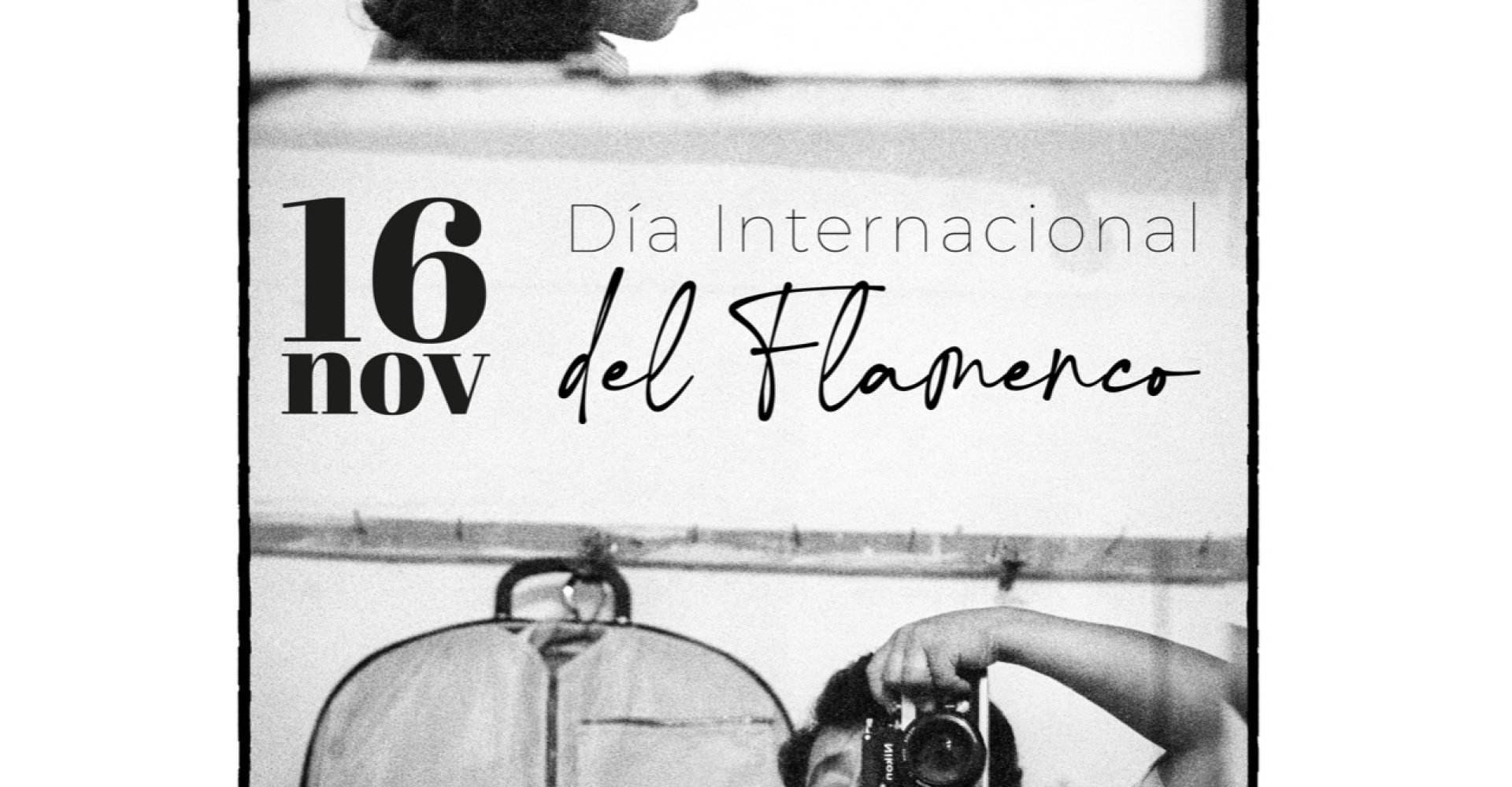 cartel día del flamenco