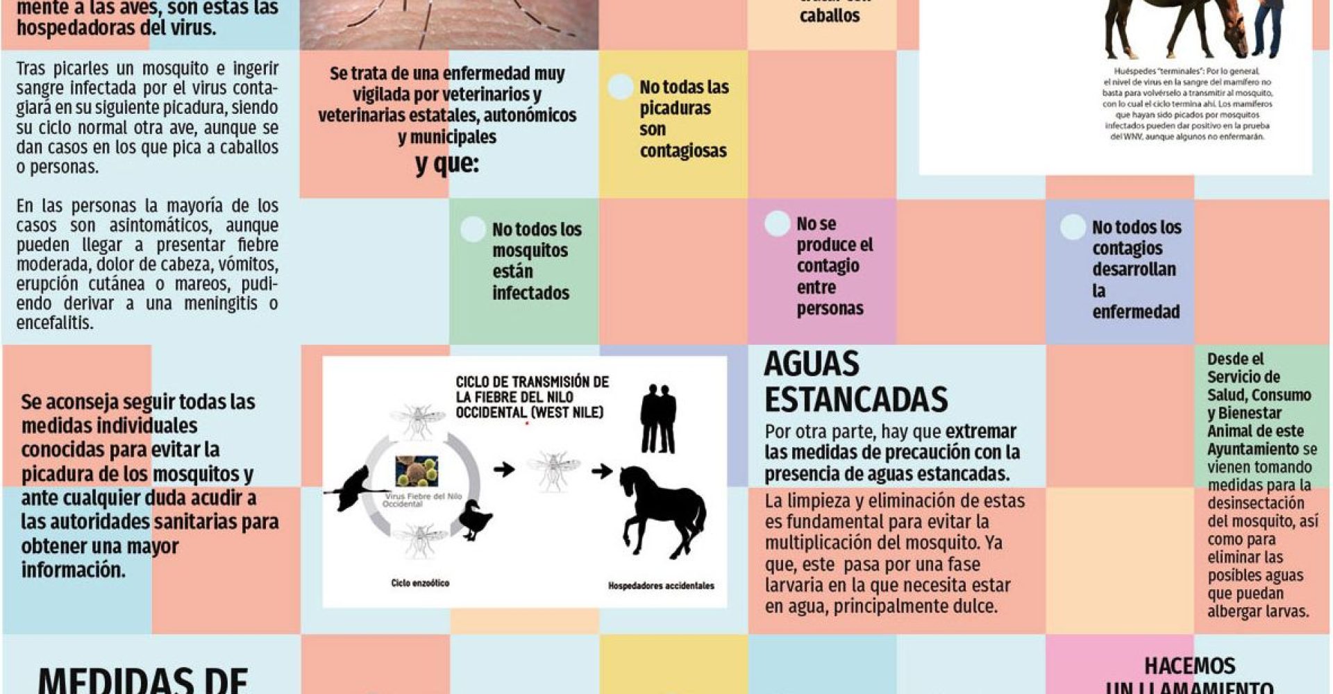 cartel fiebre del nilo