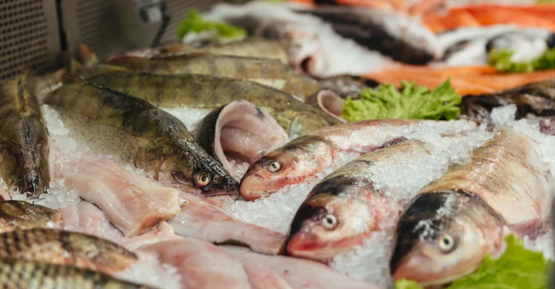 cerca-pescado-crudo-escaparate_171337-2423