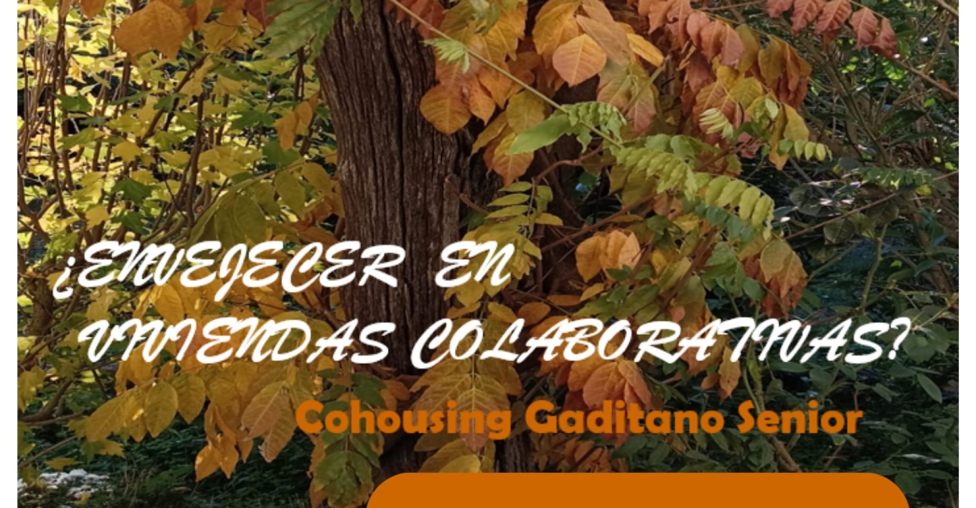cohousing