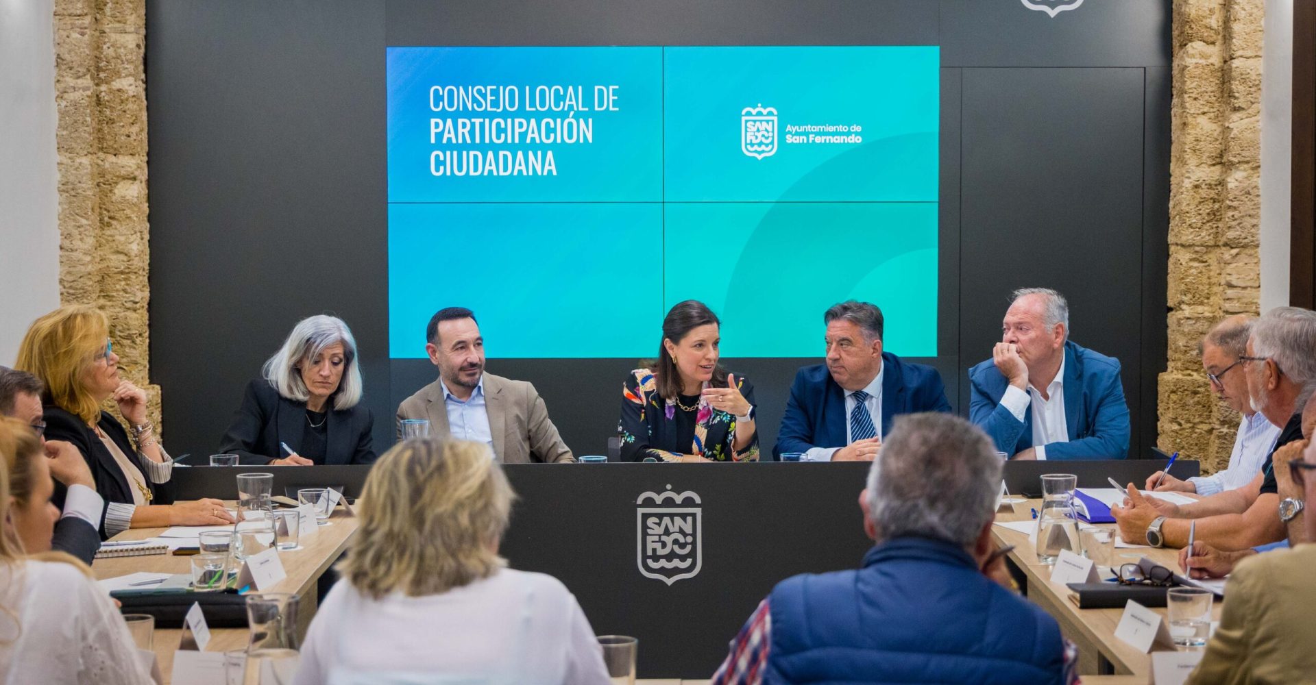 consejo de participación ciudadana