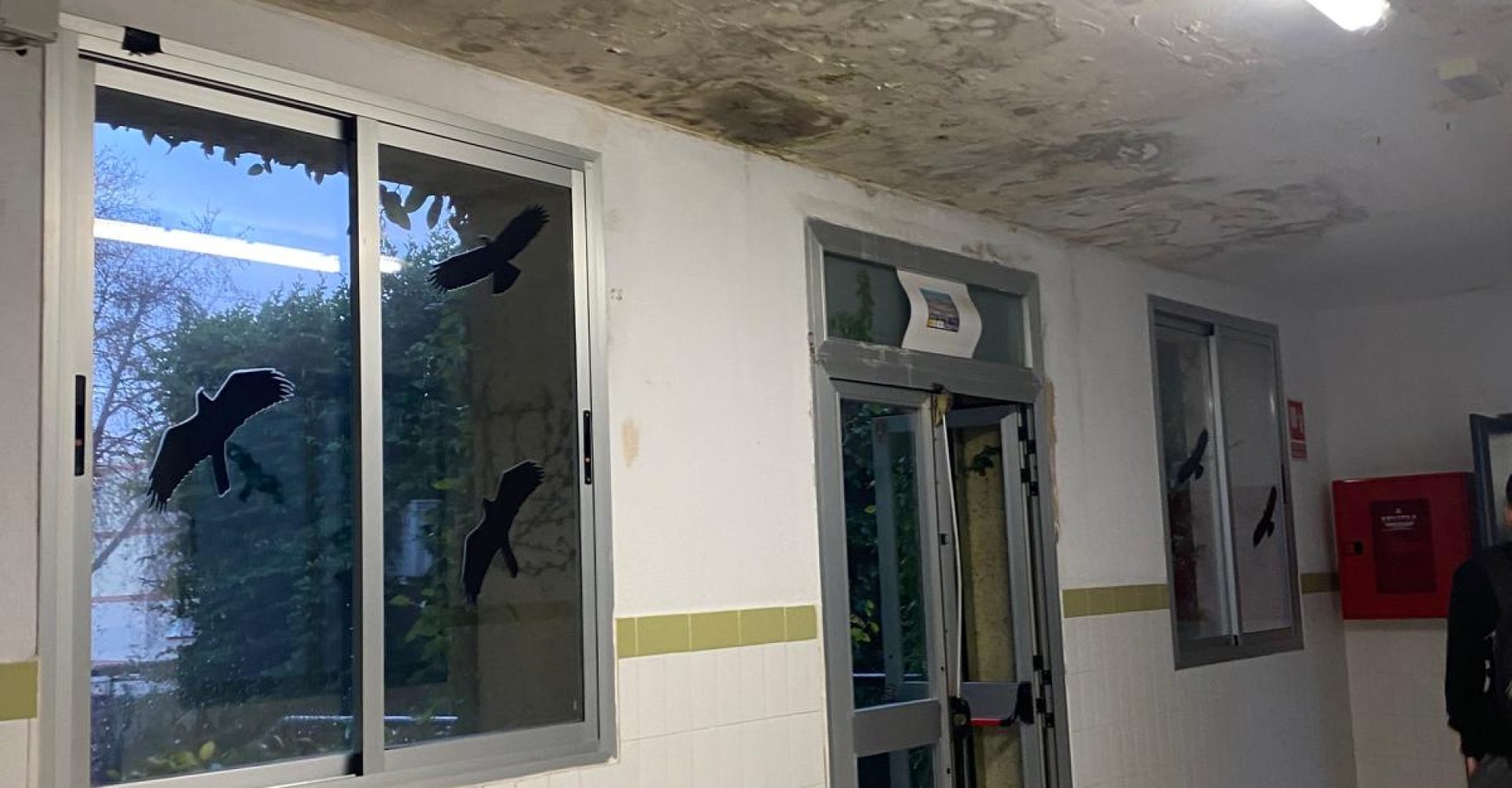 humedades-mardecadiz