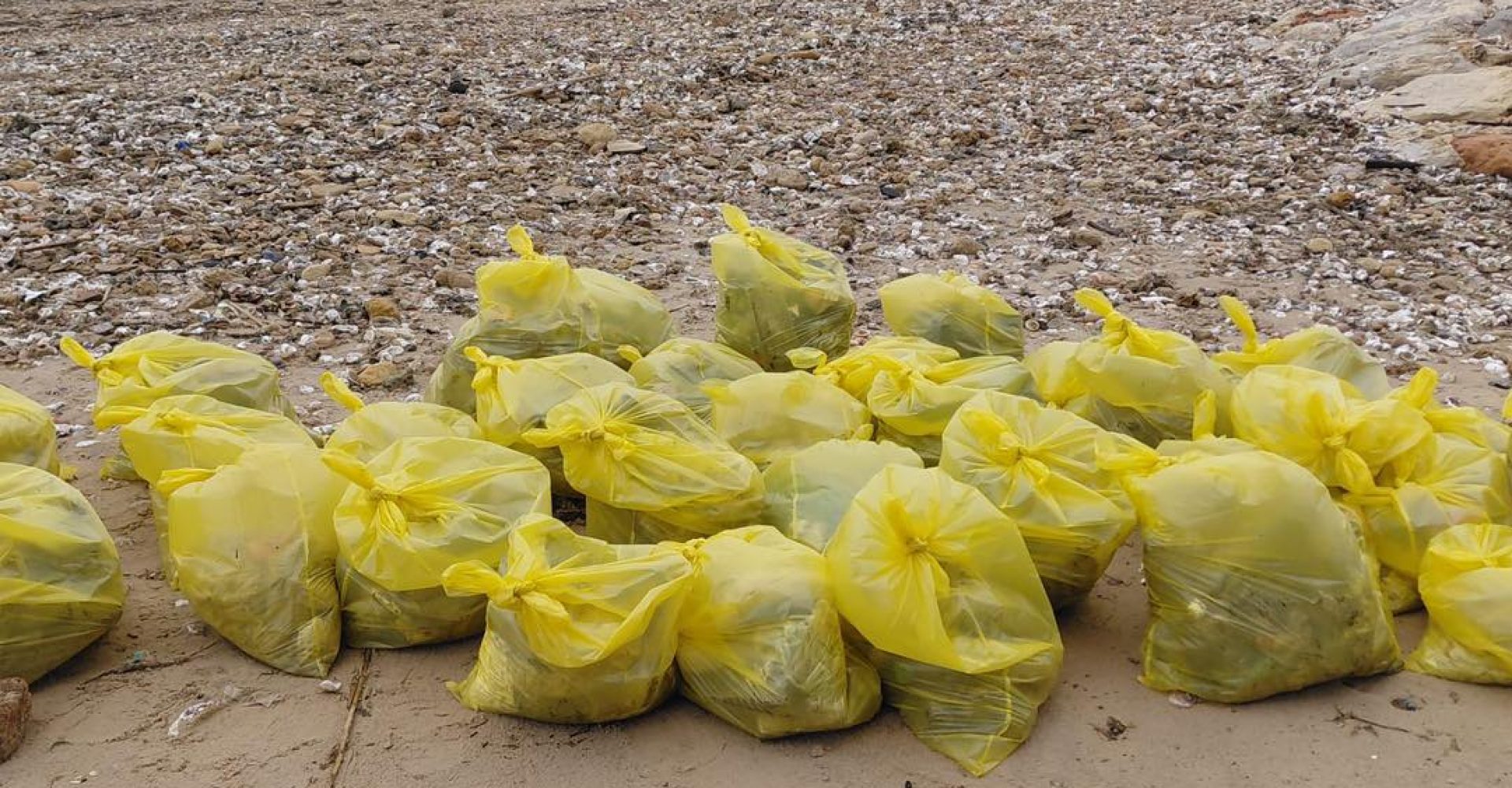 limpieza del litoral