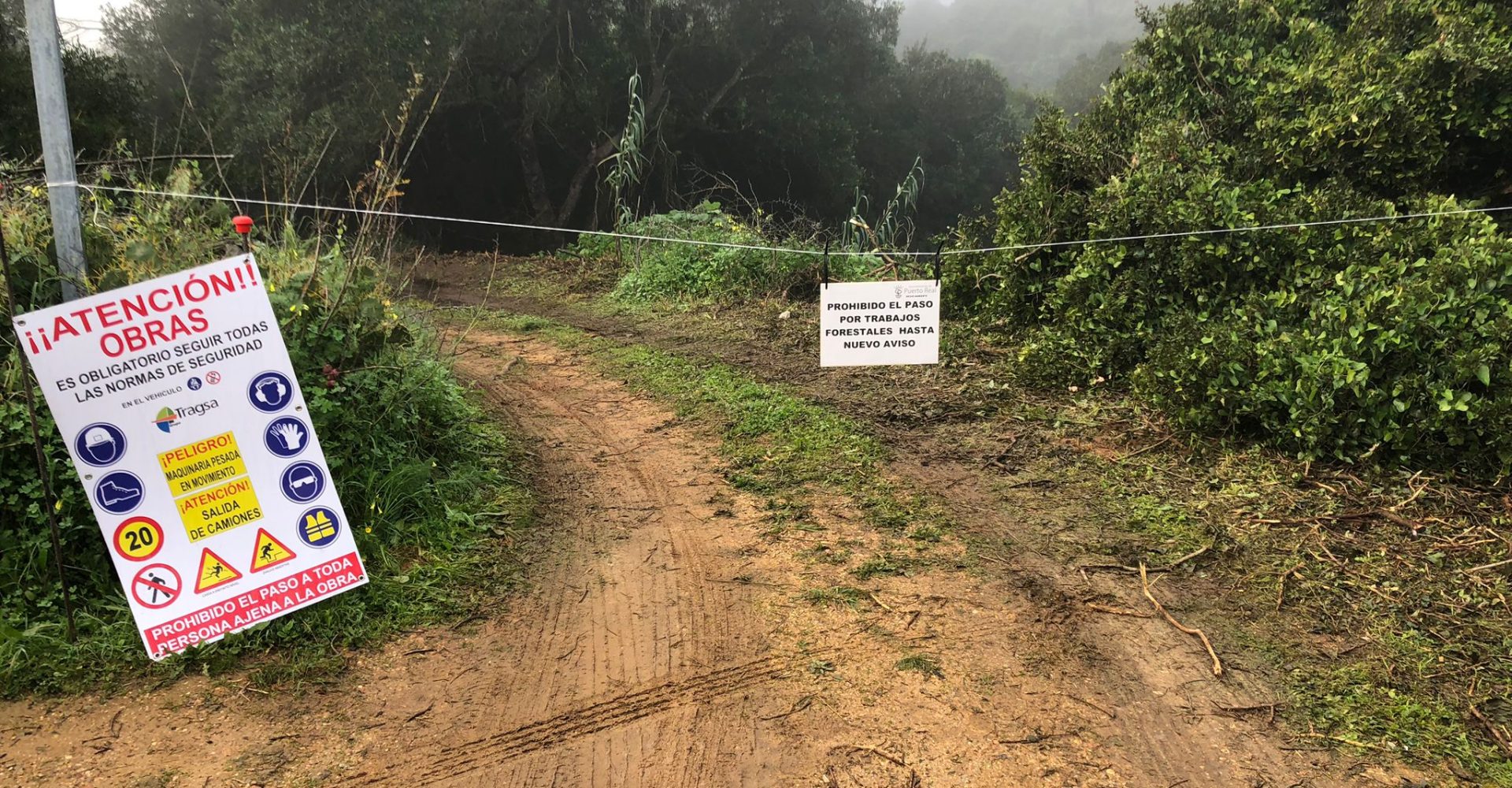 limpieza forestas cortafuego natural (3)