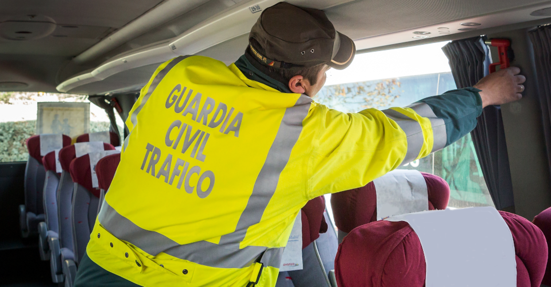 transporte-escolar_detalle