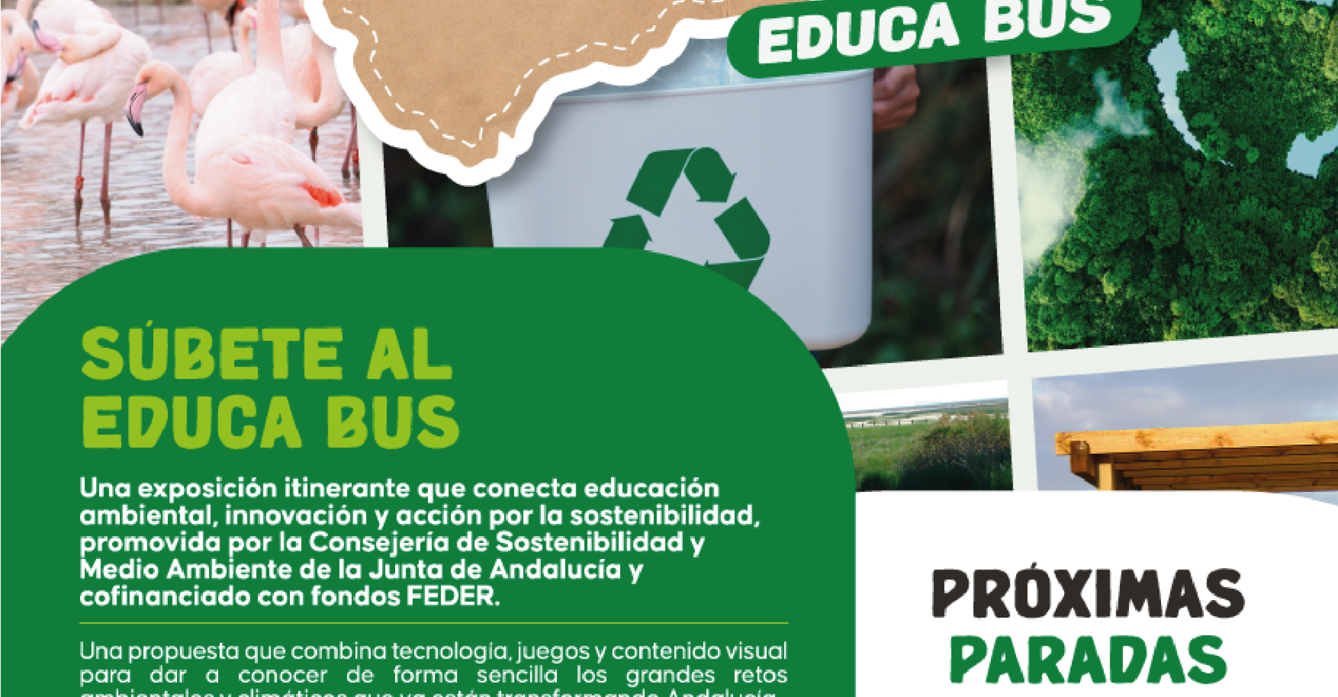 viral educabus_Mesa de trabajo 1