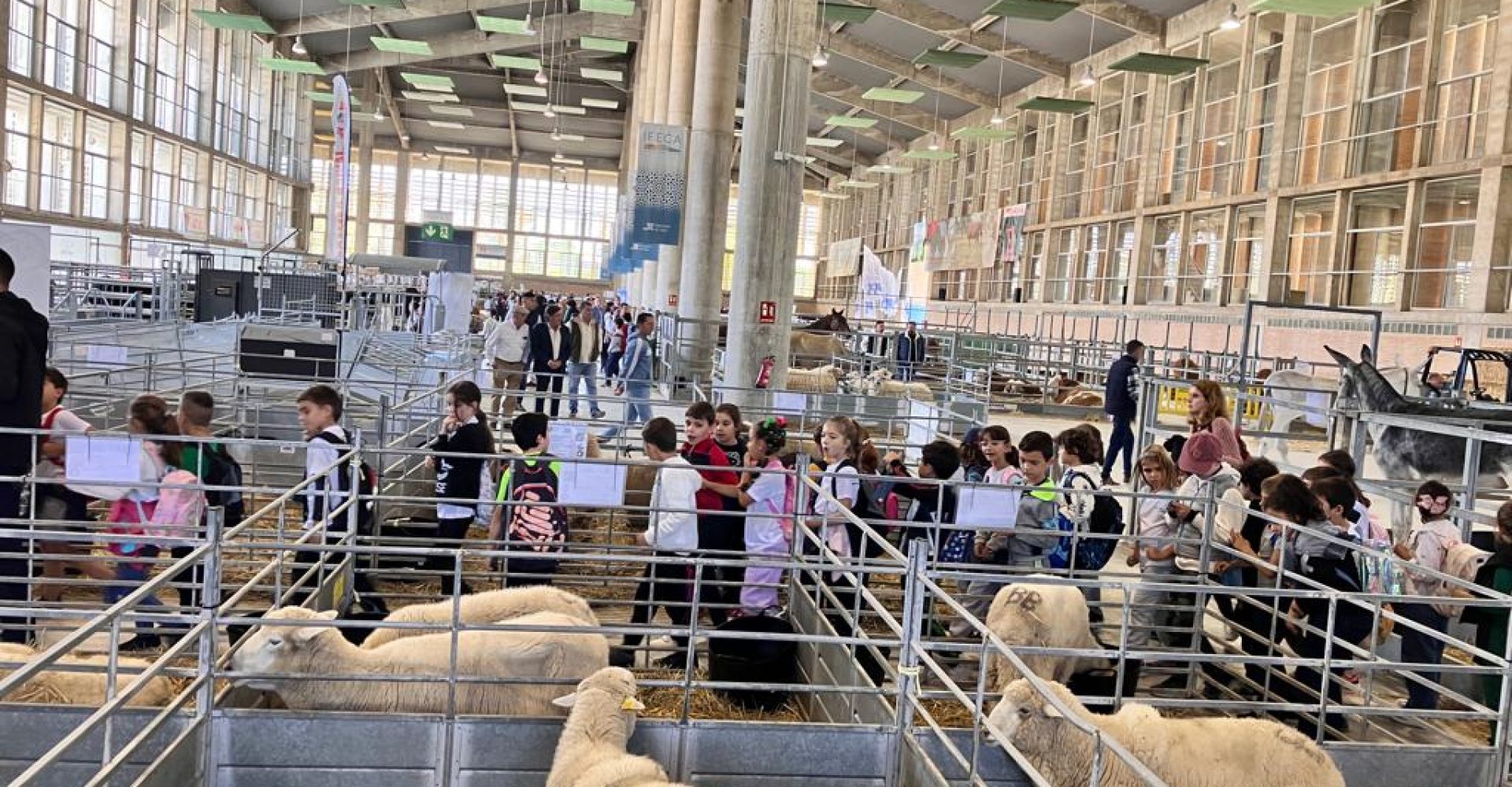 visitas escolares (12)